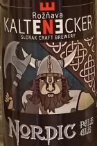 pivo Nordic - Pale Ale 