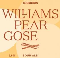 pivo Sourberry: Williams Pear & Cinnamon 16°