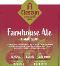 pivo Farmhouse Ale z Malinami 12°