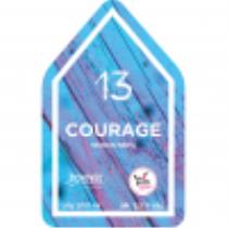 pivo Courage 13°