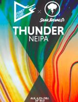 pivo Thunder - Funky Fluid X Salama 16°