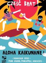 pivo Aloha Kaikunane - Gose