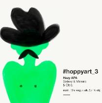pivo Hoppyart_3 - Hazy APA 13°